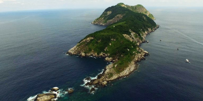 Snake Island, Brazil