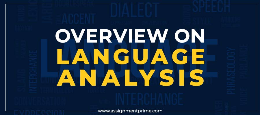 Overview on Language Analysis