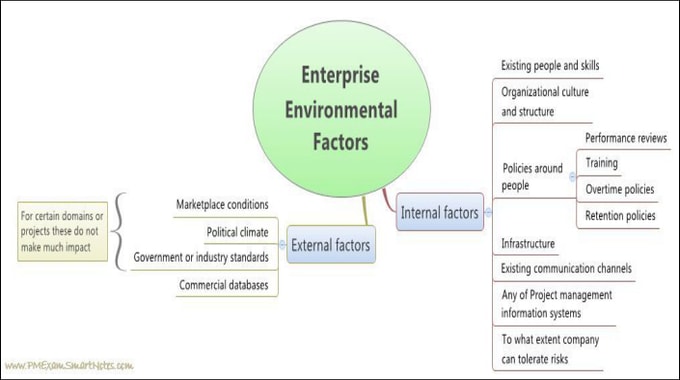 Environmental Factor