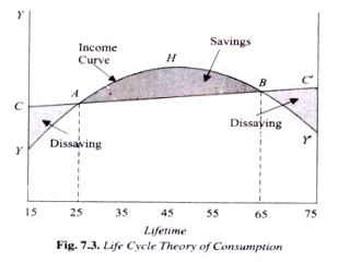 Life cycle theory